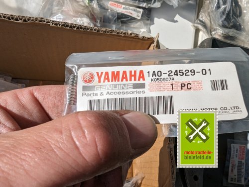 PXL_20240528_153453197